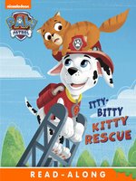 Itty Bitty Kitty Rescue